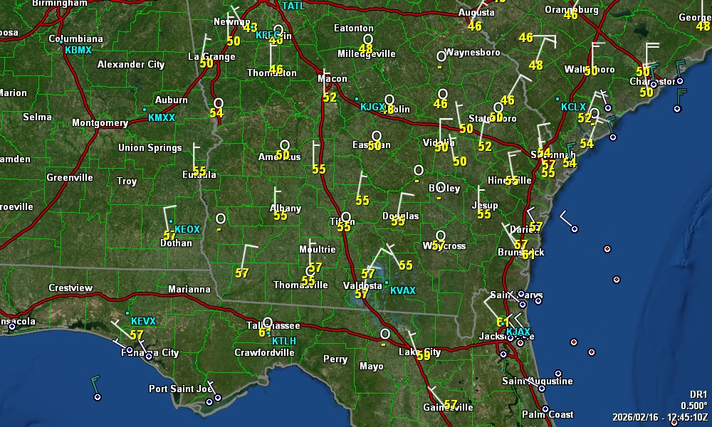 Radar view for SE GA & NE FL from Savannahpat